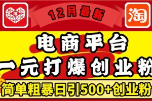 【第8743期】12月最新：电商平台1元打爆创业粉，简单粗暴日引500+精准创业粉