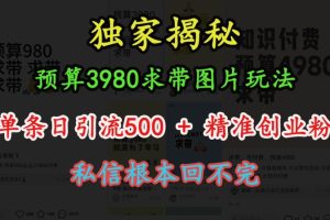【第8689期】图片玩法，单条日引流500+精准创业粉，私信根本回不完