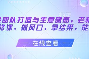 【第9446期】流量团队打造与生意破局，老板流量必修课，抓风口，拿结果，能落地