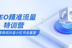 【第8813期】SEO精准流量特训营，百度微信抖音小红书全覆盖，带你搞懂搜索优化核心技巧