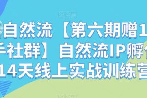 【第5597期】自然流ip孵化手线上训练营：自然流IP孵化手「14天线上实战训练营」