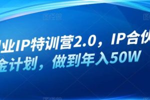 【第5178期】创业者如何打造个人ip：创业IP特训营2.0，IP合伙人掘金计划，年入50W