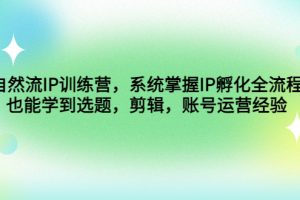 【副业4154期】个人IP打造训练营，自然流IP孵化全流程，选题，剪辑，账号运营