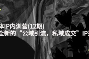 【副业3891】新媒体ip打造内训营(12期),全新的“公域引流,私域成交”IP打法