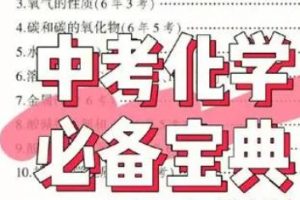 【第6462期】2023中考化学赵潇飞暑假班（初三）