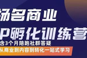 【副业3410期】如何打造商业ip：从商业到内容到转化一站式商业IP孵化训练营