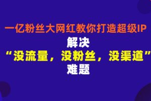 【副业3300期】自媒体ip孵化：一亿粉丝大网红教你打造超级IP，玩转ip引流变现