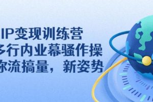 【副业2730期】IP如何变现：抖音IP变现训练营，教你流搞量变现
