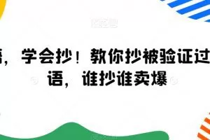 【第7044期】广告语，学会抄！教你抄被验证过的广告语，谁抄谁卖爆