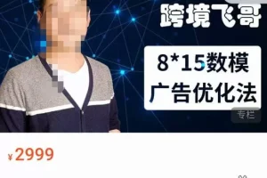 【第5718期】跨境广告投放教程：跨境飞哥·广告优化高阶课第二十三期，​8*15数模广告优化法，用数据驱动决策