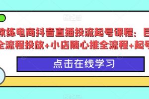 【第4811期】抖音直播间投流技巧：巨量千川全流程投放+小店随心推全流程+起号方式