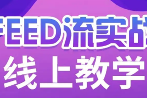 【副业2053期】Feed流投放实战教学！内训课程