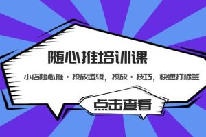 【第4467期】随心推投放技巧培训课：小店随心推·投放逻辑，投放·技巧，快速打标签