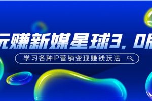 【第4385期】搞钱最快的野路子《玩赚新媒星球3.0版》学习各种IP引流变现赚钱玩法（价值498）