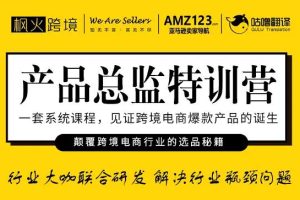 【副业2583期】产品总监产品经理特训营：解决产品的行业瓶颈问题！