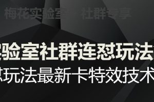 【第6272期】梅花实验室社群连怼玩法第五期,视频号连怼玩法最新卡特效技术