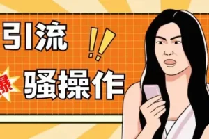 【第6212期】最新引流骚操作，单账号日引50-100，简单粗暴，适合于小白各行各业