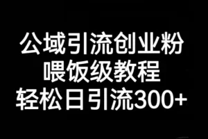【第6195期】公域引流创业粉，喂饭级教程，轻松日引流300+【揭秘】