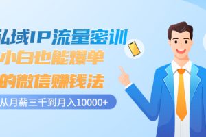 【副业3373期】怎么用微信赚钱：微信私域IP流量密训，小白也能爆单的微信赚钱法