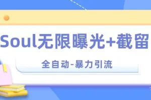【第5980期】【暴力引流】Soul无限曝光+截留一体的软件【揭秘】