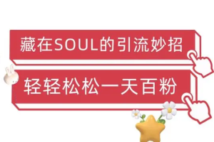 【第5358期】怎么用soul赚钱：Soul暴力引流男粉玩法，无脑粗暴日入500＋，0门槛操作【揭秘】