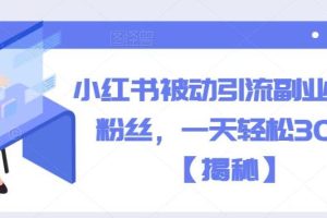 【第5223期】小红书自动引流：小红书被动引流副业兼职粉丝，一天轻松30粉【揭秘】