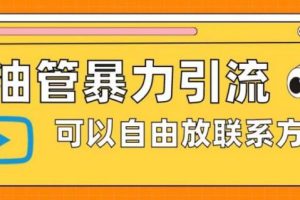 【第5166期】新手怎么引流推广：油管暴力引流，可以自由放联系方式【揭秘】