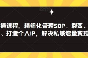【第4913期】私域流量怎么做：解决私域增量变现实操，精细化SOP、裂变、复购、转粉、打造个人IP
