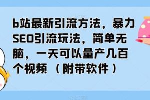 【第4801期】b站视频引流技巧：b站最新SEO引流玩法，一天量产几百视频（教程+软件）