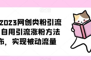 【第4767期】虚拟项目引流怎么做：小淘2023网创类粉引流术，引流被动涨粉教程