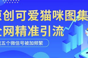 【第4703期】全网引流推广怎么做：黑科技纯原创可爱猫咪图片，全网精准引流实操