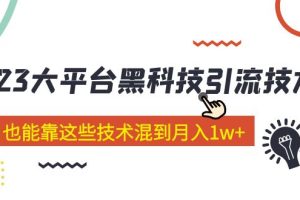 【第4449期】引流推广怎么做：2023各大平台黑科技引流技术，29节课小白也能混到月入1w+（价值4899）