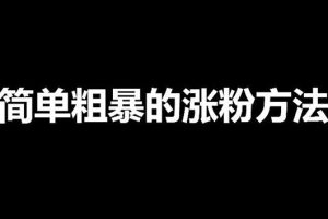 【副业4177期】涨粉丝最快的方法：收费1980抖音快手小红书快速涨粉技术（女粉）