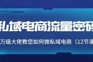 【副业3841】私域电商怎么做：千万级大佬教您如何做私域电商流量