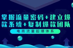 【副业3625】流量增长运营：掌握流量密码+建立爆款系统+复制爆款团队（价值599）
