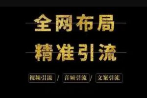 【副业3385期】怎么样才能快速引流：9年引流实战经验，0基础打造引流系统（视频精华版）