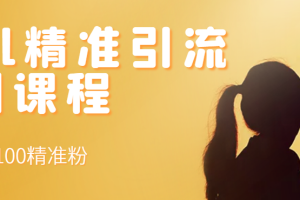 【副业3233期】目前引流最好的平台：知识星球+soul+微信搜一搜引流，每天300+精准粉（3套教程)