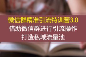 【副业3167期】微信私域流量怎么做：微信群精准引流特训营3.0，借助微信群打造私域流量池