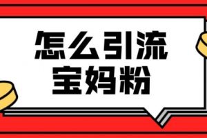 【副业2051期】怎样引流精准宝妈粉-实操课