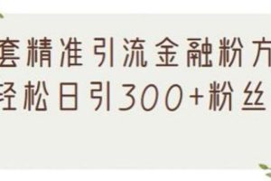 【副业2622期】金融粉引流推广方法，精准引流每日300+（视频教程）
