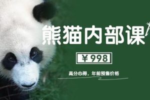 【第9664期】绅士派《熊猫内部课高分恋爱异性心得1.0》