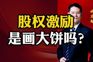 【第4822期】股权分配方案：臧其超-股权激励体系（爆款视频课）
