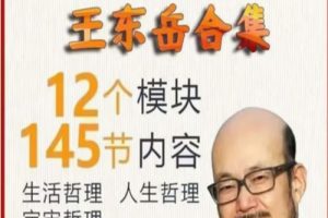王东岳全套音视频合集下载